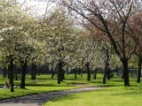 Victoria Park, West Glasgow